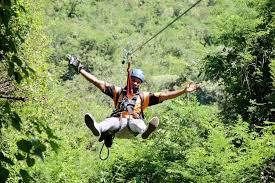 BEYOND THE BIG FIVE: UGANDA’S UNIQUE WILDLIFE ENCOUNTERS