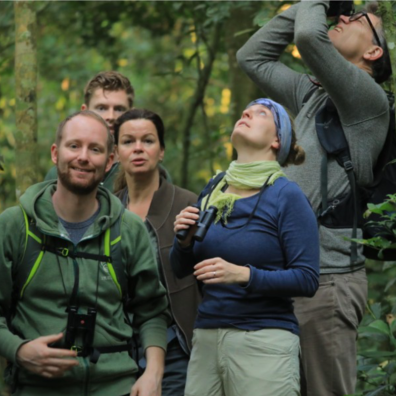 4-Day Majestic Tarangire - Ngorongoro Crater - Serengeti