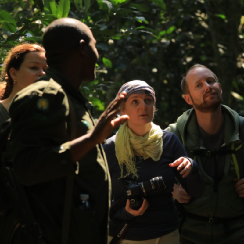 3-Day Primate Haven Journey and Cultural Immersion