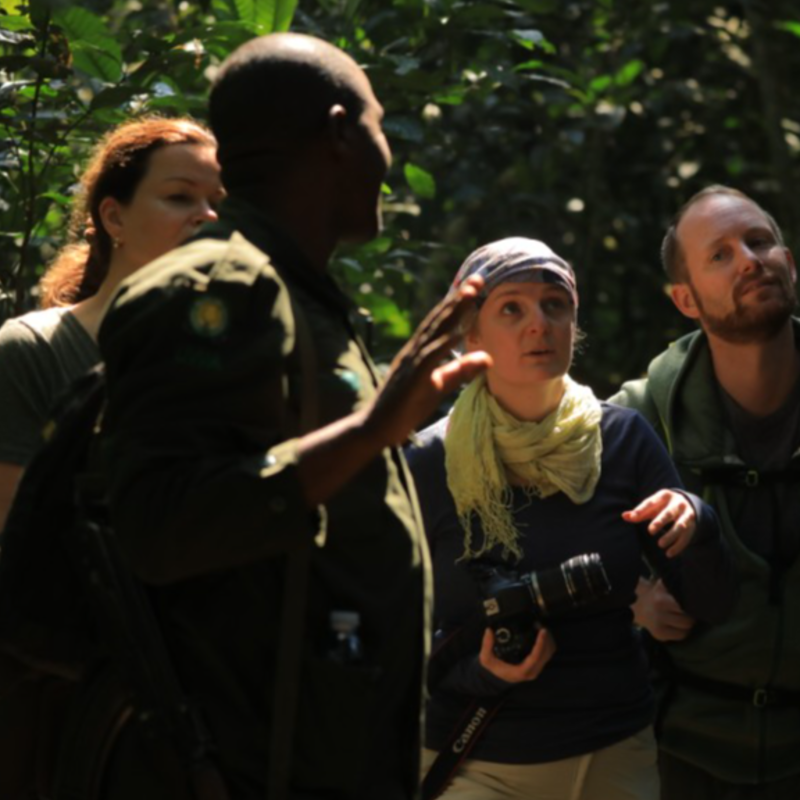 4-Day Majestic Tarangire - Ngorongoro Crater - Serengeti